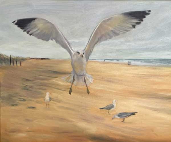 Flying Gull